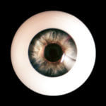 images, eyes for our silicone dolls